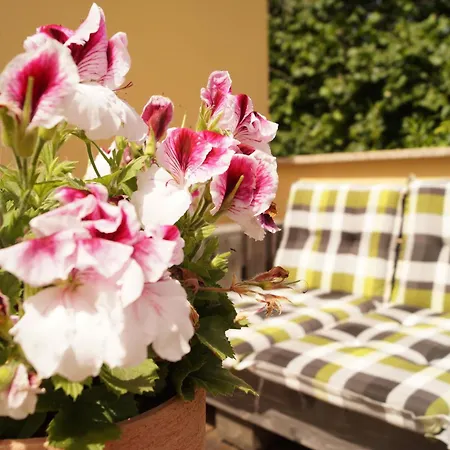 Sonnenschein Βαϊμάρη