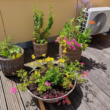 Sonnenschein Βαϊμάρη