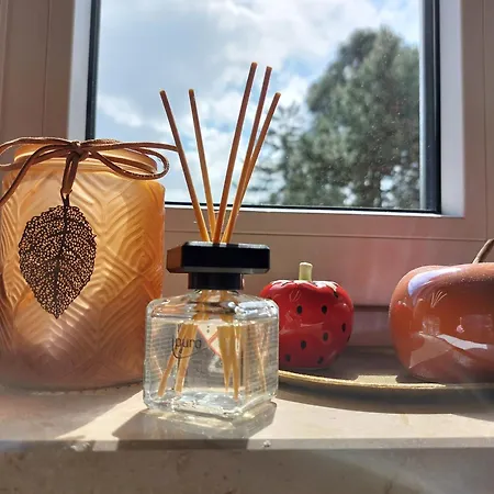 Sonnenschein Διαμέρισμα