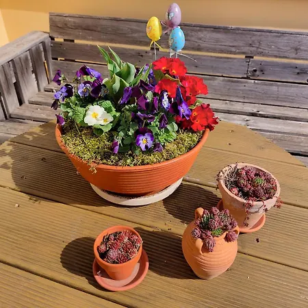 Sonnenschein *