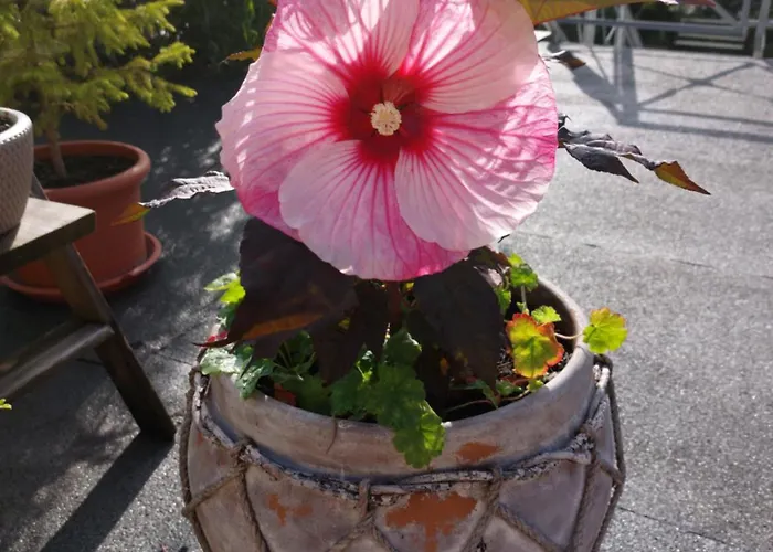 アパート Sonnenschein ワイマール