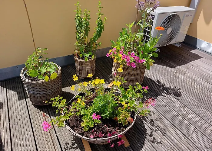 Sonnenschein Weimar (Thuringia)