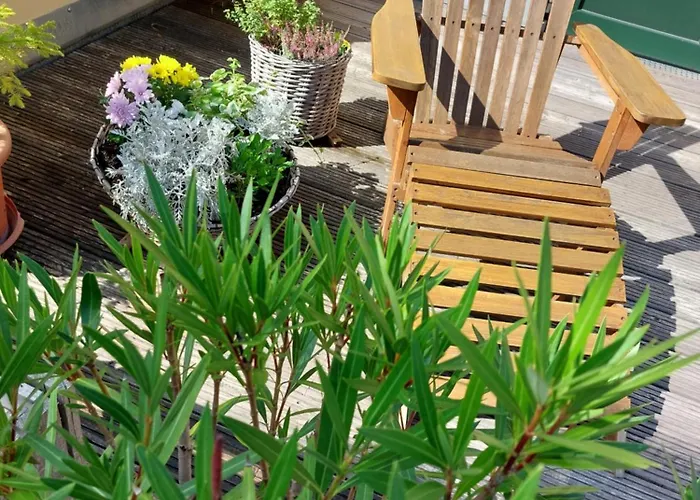 Sonnenschein アパート *